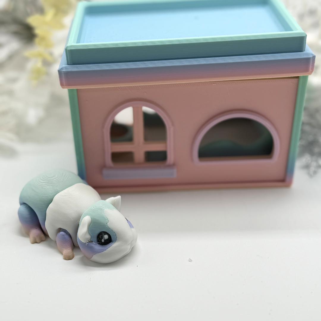 Flexi Meerschweinchen Regenbogen mit Haus