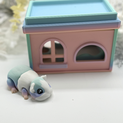Flexi Meerschweinchen Regenbogen mit Haus