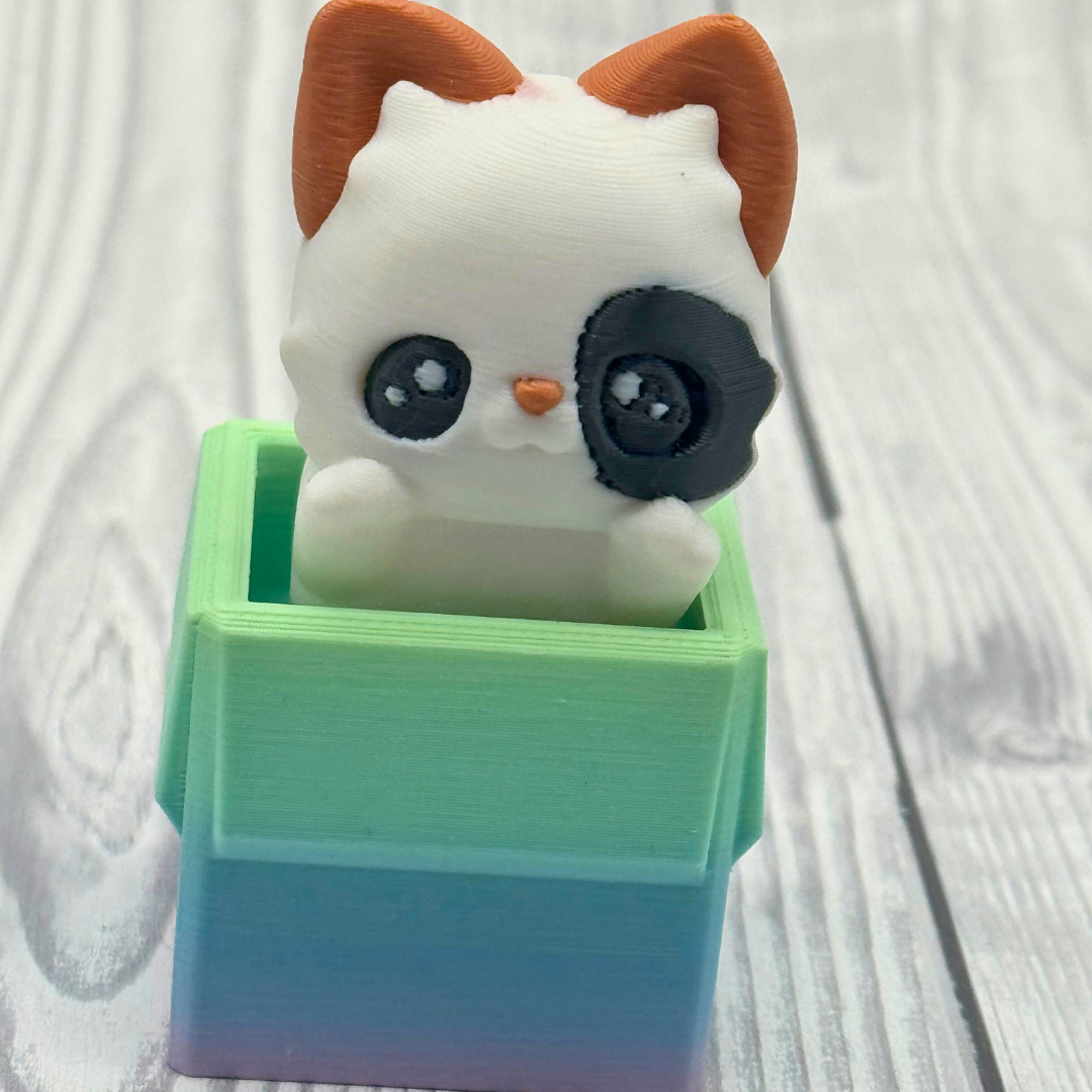 Clicker Katze