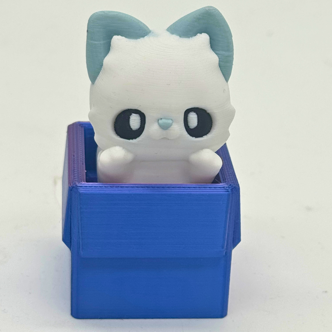 Clicker Katze
