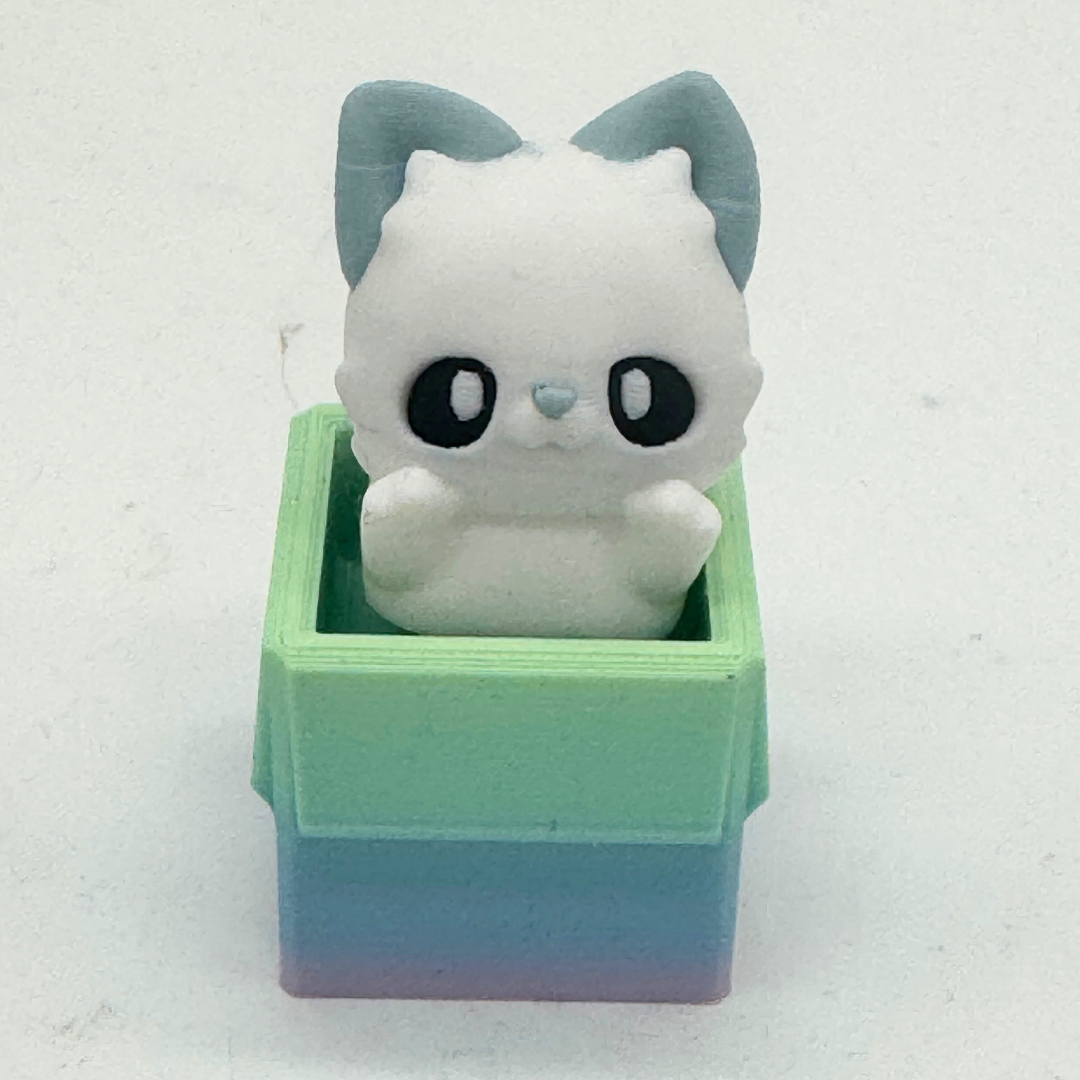 Clicker Katze