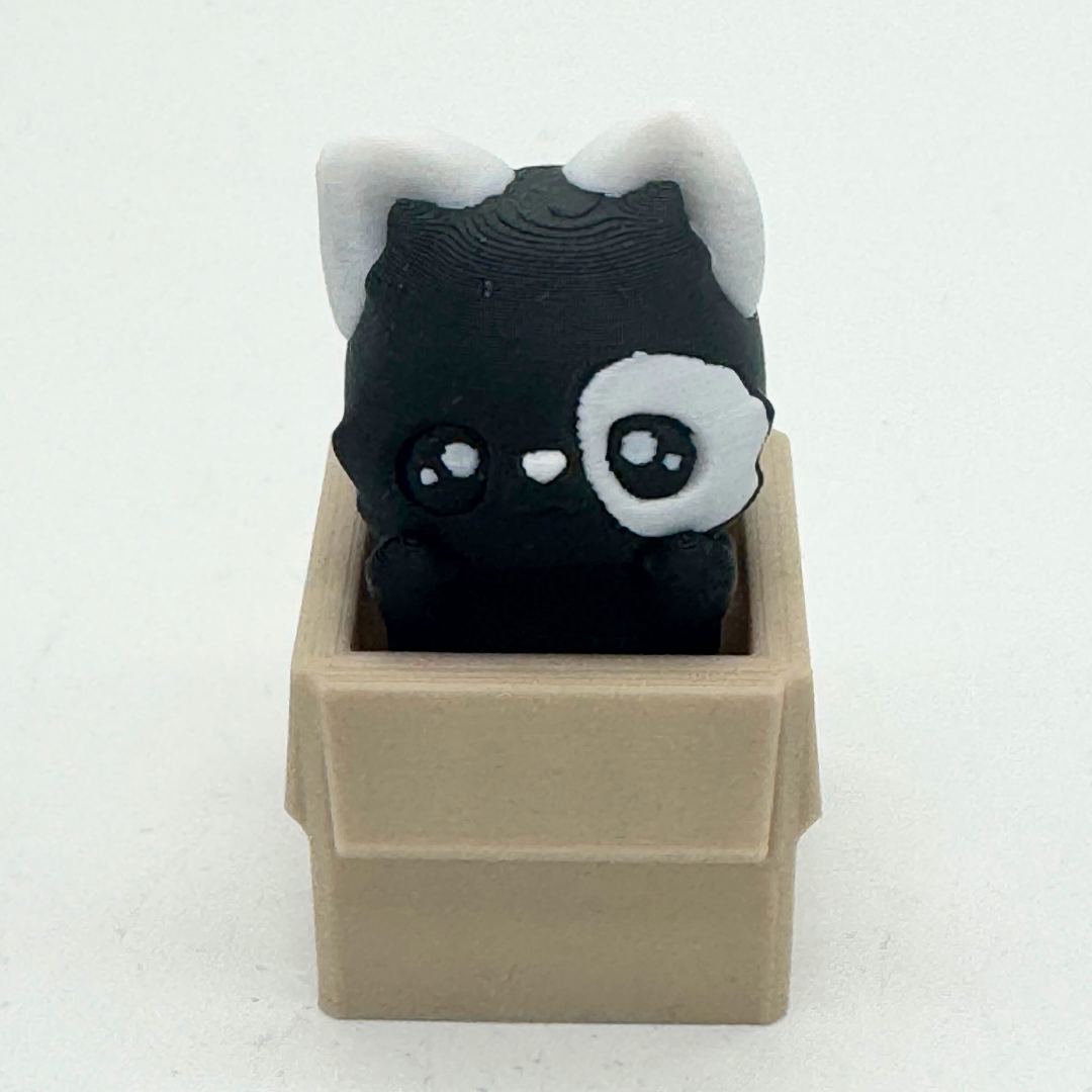 Clicker Katze