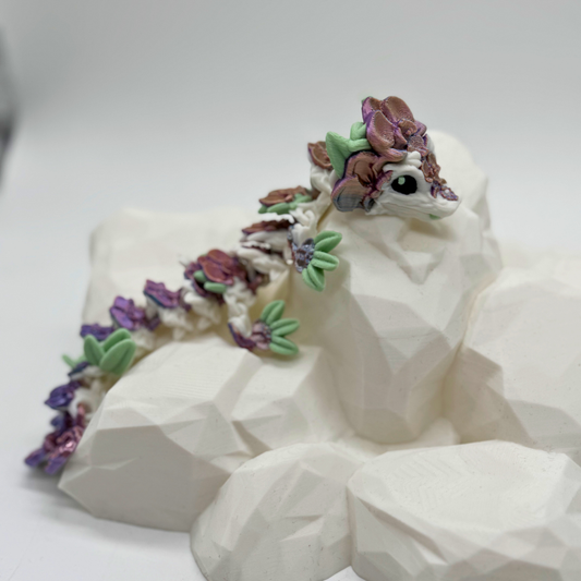 Baby Orchideen Drache B Ware