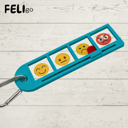 FELI go
